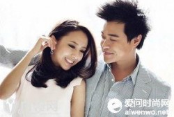 外网爆料陈思诚视频,揭秘娱乐圈背后的真相