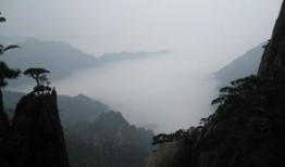 安徽黄山最新爆料事件,神秘事件引发热议