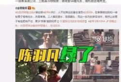 王诗晴娱乐圈爆料视频,揭秘明星幕后真相