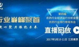 盐城新闻大爆料视频回放,揭秘热点事件背后的真相