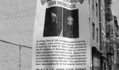 纽约华人最新爆料,揭秘纽约华人社区背后的故事