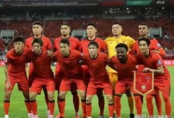 国家队队员爆料新闻最新,备战世界杯背后的故事与挑战