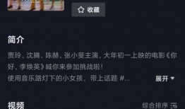 爆料韩静格视频大全集,揭秘明星幕后生活点滴