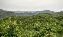 哈纳斯最新爆料,揭秘行业背后惊人内幕