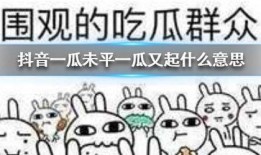 抖音吃瓜群众免费,揭秘热门事件幕后真相！