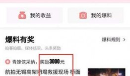 今日头条爆料都能看到吗,揭秘热门事件背后真相