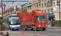 杞县车祸最新爆料,悲剧现场细节披露，事故原因引关注