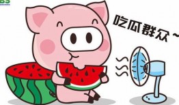 娱乐八卦一定吃瓜群众,揭秘“吃瓜群众”的八卦盛宴