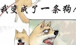 偏心吃瓜小说免费阅读全文,揭秘小说背后的秘密与精彩