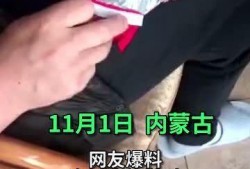 云南旅游爆料最新,探寻秘境，邂逅自然与民族风情