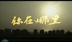 娱乐爆料最新进展视频,揭秘幕后真相，明星动态大揭秘！