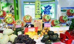 怀仁美食爆料视频,揭秘当地特色小吃，视频带你一探究竟