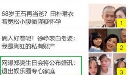 关于爆料娱乐圈的网名,揭秘明星幕后故事