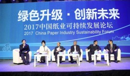 佳丰纸业爆料新闻最新,揭秘行业黑幕，环保问题引关注