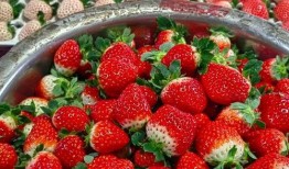 最新爆料草莓,揭秘神秘生成背后的科技秘密