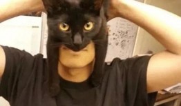 万圣节猫猫斗篷爆料视频,萌宠斗篷背后的故事