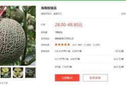 娱乐吃瓜公众号推荐,明星们的幕后故事，吃瓜群众必看！