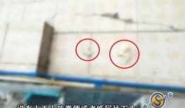 城事特搜的爆料视频,视频爆料背后的惊人真相