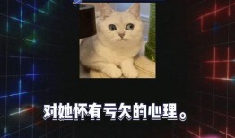 娱乐综艺吃瓜八卦视频,明星幕后故事全解析
