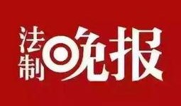 天等新闻网爆料电话,揭秘神秘爆料电话背后的故事