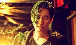 唐丽君爆料完整视频大全,揭秘事件背后真相