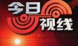 今日爆料官方电话,今日爆料背后的真实故事