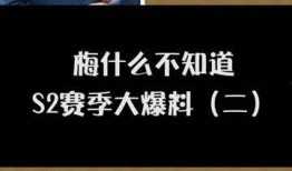 沈猛最新爆料梅子,梅子背后惊人真相揭露