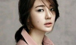 娱乐圈新剧爆料女主角,新剧女主角的崛起之路