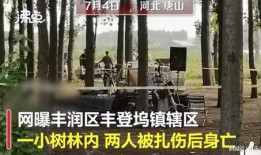 唐山案爆料者最新爆料,揭露惊人内幕，真相再引热议