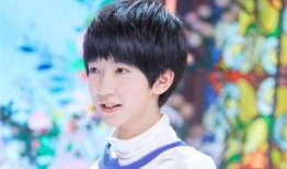 贺峻霖 娱乐爆料,揭秘明星幕后故事