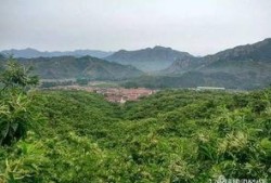 哈纳斯最新爆料,揭秘行业背后惊人内幕