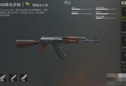 吃鸡最新突击步枪枪爆料,性能卓越，引领战场新潮流