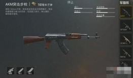 吃鸡最新突击步枪枪爆料,性能卓越，引领战场新潮流