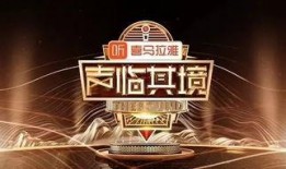 大智爆料娱乐节目有哪些,盘点热门娱乐节目，揭秘幕后精彩瞬间