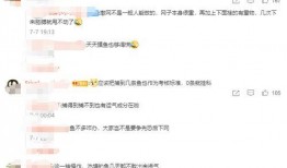 绝情吃瓜小说免费阅读,揭秘娱乐圈背后的秘密与爱恨情仇