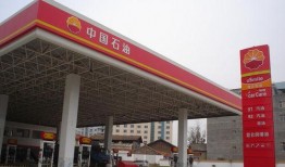 加油站爆料事件案例视频,视频揭露惊人真相