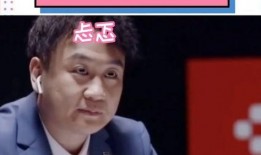 撒贝宁爆料合集视频,揭秘娱乐圈幕后故事