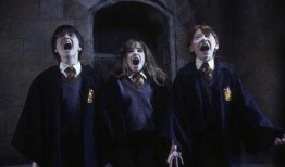 哈利最新爆料8月,8月惊天大事件即将揭晓！