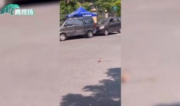 网友爆料被蛇咬了吗视频,紧急救援时刻！