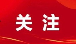 崇左新闻爆料地址,揭秘神秘事件背后真相
