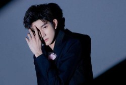 王源最新资源爆料,多领域发展全面开花