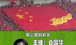 男子爆料足球视频回放在线观看,足球视频回放在线观看全攻略