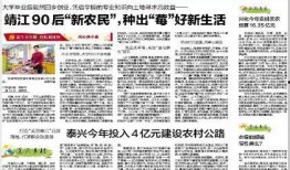靖江新闻爆料事件,揭秘背后真相与争议