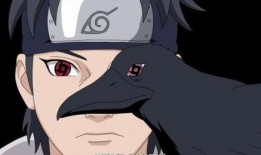 带土忍界技能爆料视频下载,独家视频解析与深度解读